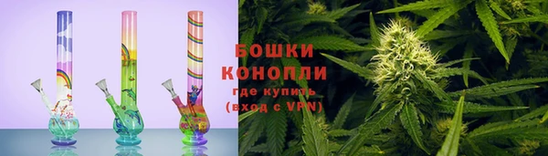 ГАЛЛЮЦИНОГЕННЫЕ ГРИБЫ Горняк