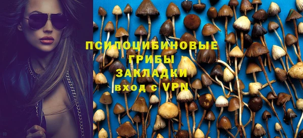 прущая мука Горно-Алтайск
