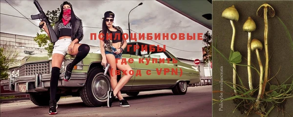 ГАЛЛЮЦИНОГЕННЫЕ ГРИБЫ Горняк